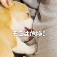 そこはやめて！！