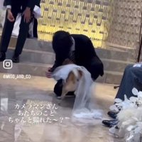 カメラマンにも丁寧に挨拶