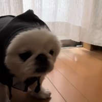 固まっちゃう！！