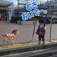 むぎちゃんとまーちゃん