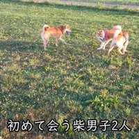 初対面でもこの通り♪