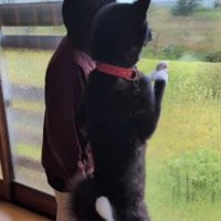 え…どういうこと？