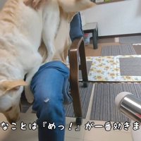 注意したら降りてくれました