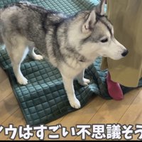 不思議そうな表情