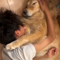 元気づけるきなこちゃん