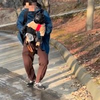 抱っこされるパグ