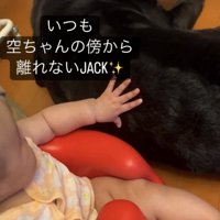 座って犬を撫でる子ども