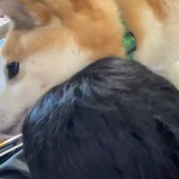 近寄ってきた福くん