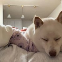 福丸くんとママと赤ちゃん6