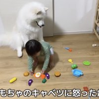 完全に伏し目がちなこはくちゃん