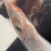 おやつの袋をくわえて遠くを見る犬