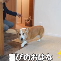 嬉しそう♪