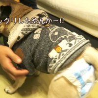 文句を言いにパパさんのもとへ
