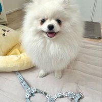 ぽむくんも気に入ったようです♪