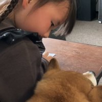 犬に注意する女の子