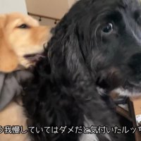 強引に場所を取り返します