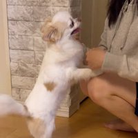 留学前日の夜の様子