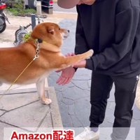 「ずっと待ってたよ～」