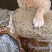 天然温泉を訪れた
