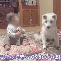 しっかり見守っていた