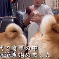 泣き出したひよりちゃん