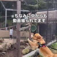 「遊ぼう～」