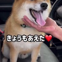 「夢じゃなかった！！」