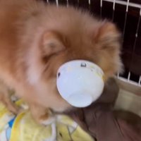 見事大成功！！