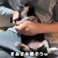 すみれちゃんは抵抗！