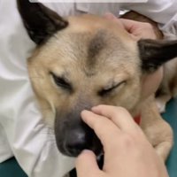 よく頑張りました！