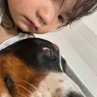 泣いている子供と大型犬