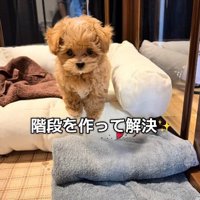 ステップを作ることで解決