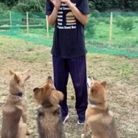 トレーニングも頑張るよ！
