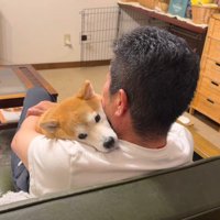 なでなでされてウットリ♡