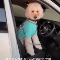 前世は人間！？