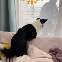 工事をしていたら…