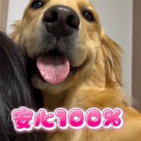 女性に抱っこされて笑顔でカメラを見つめる大型犬