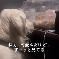 優しく見守ります