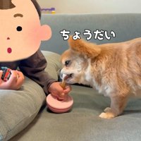 「ちょうだい」と優しくアピール