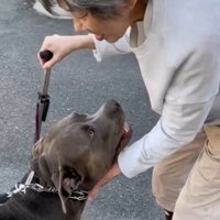 お散歩中に出会ったのは…