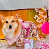 相変わらず可愛い♡