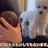 赤ちゃんを見るエルくん