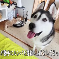 「これを見て下さい」