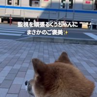 予想外の奇跡が♪