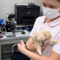 「120点だね」