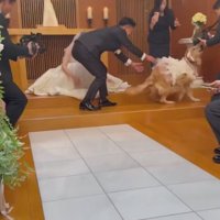 どこかへ行っちゃった！！