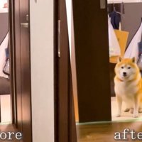 扉のビフォーアフター