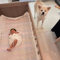 興味津々の幸ちゃん