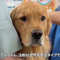 注射は難なくクリア！
