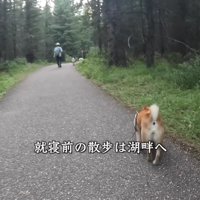 近くにある湖畔へお散歩